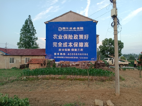 安庆墙体广告为何受追捧？